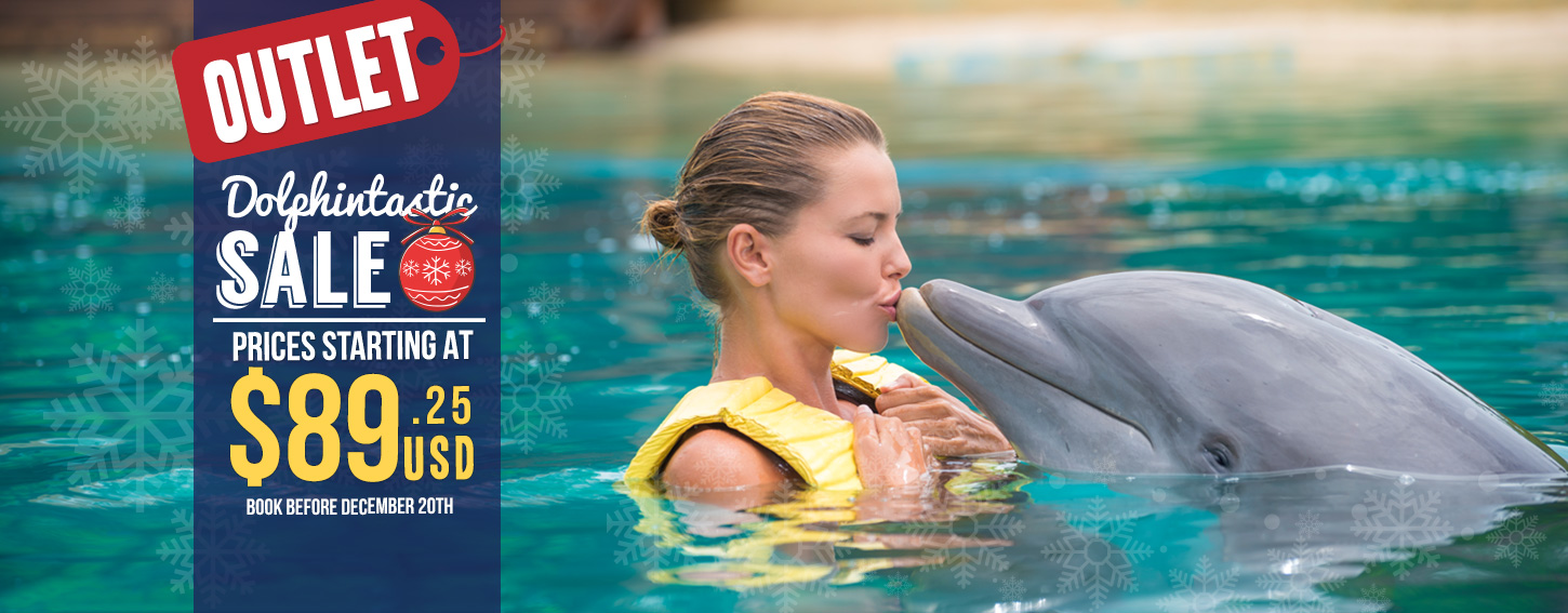 Dolphin deals