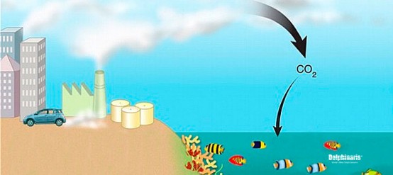 5-terribles-consecuencias-acidificacion-oceanos