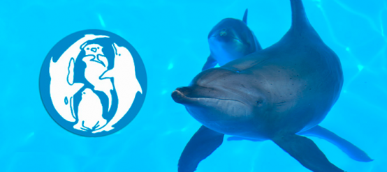 European Association for Aquatic Mammals EAAM