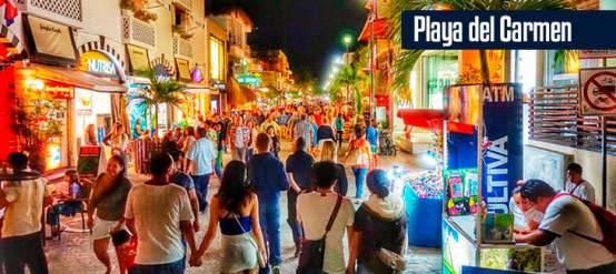 Where to swim with dolphins in Playa del Carmen