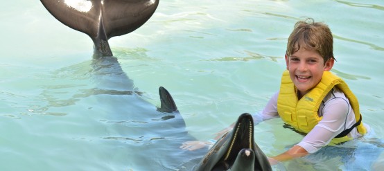 Fun under the sun of the caribbean