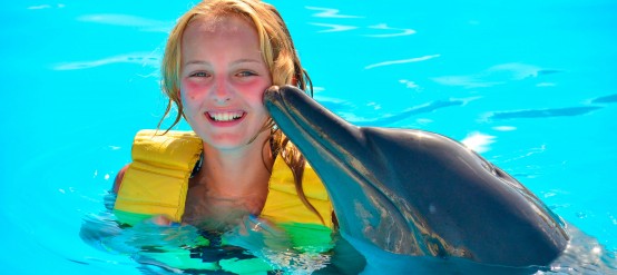 Swim with dolphins at Dolphinaris and have magic moments with dolphins.
