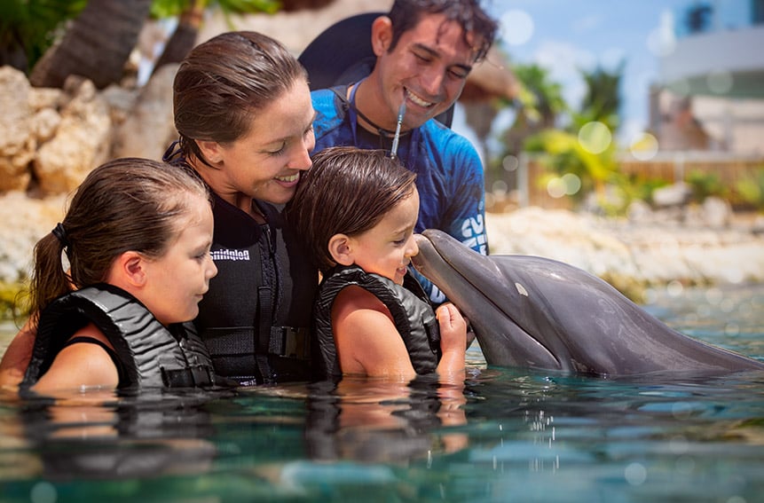 Inspiring Dolphin swim Experiences in Cozumel