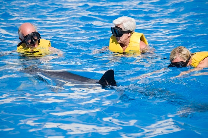 And of course swimming with dolphins in Tulum