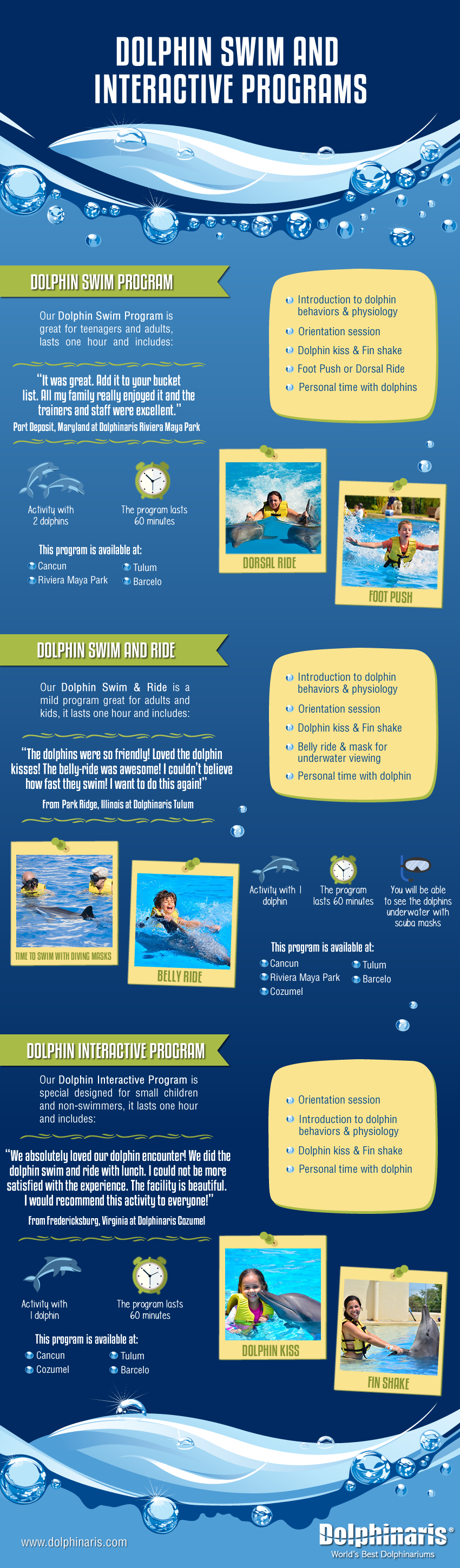 Dolphin swim programs