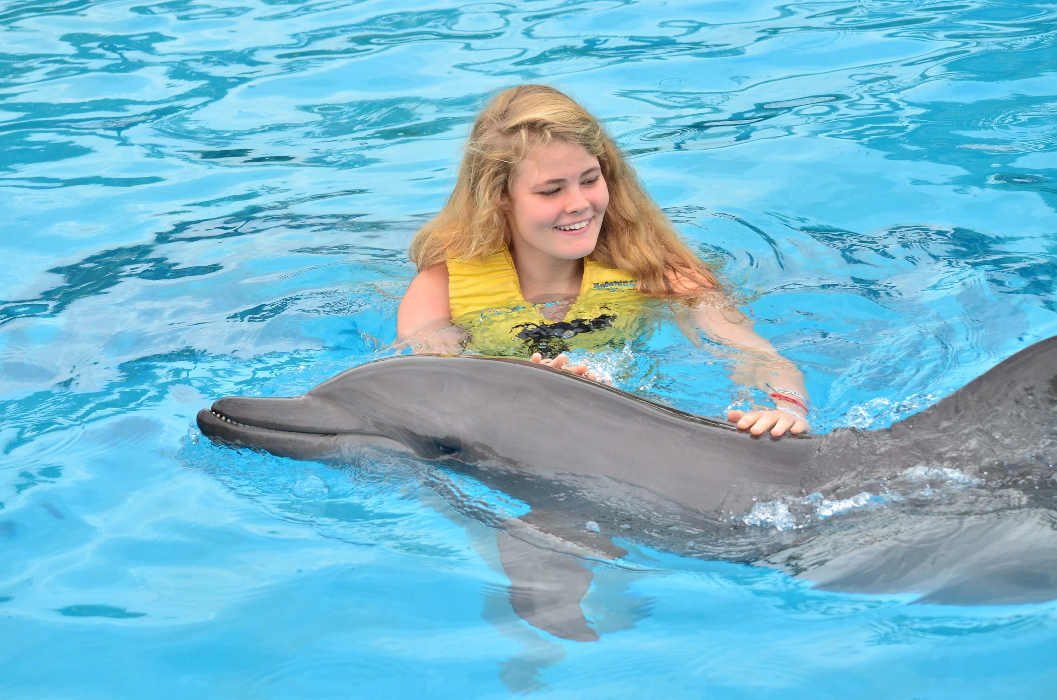 Where to go swimming with dolphins at Riviera Maya