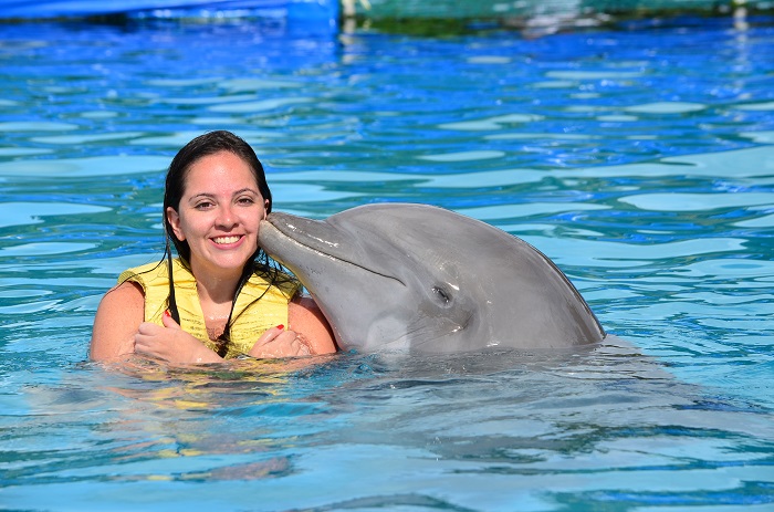 Dolphin kiss in Riviera Maya