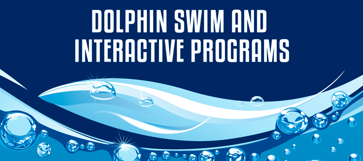 Dolphin swim and interactive programs at Dolphinaris.