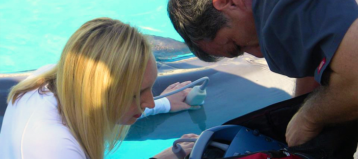 Educational program AQUAVET ® III