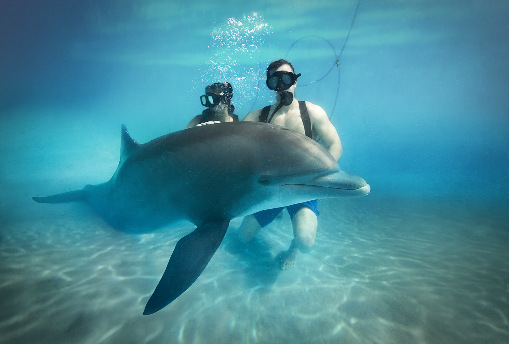 Swim with dolphins, perfect family plan at Riviera Maya